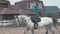 The girl jockey riding on his white horse