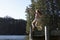 Girl Jumping From Jetty Into Lake