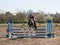 Girl jumping over blue hurdle on showjumping competition