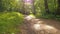 The girl is jumping rope in the park. Young girl doing sports in the forest