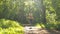 The girl is jumping rope in the park. Young girl doing sports in the forest