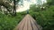 The girl is jumping rope in the park. Young girl doing sports in the forest