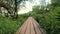 The girl is jumping rope in the park. Young girl doing sports in the forest