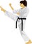 The Girl Karate Kick Japanese Chinese Martial Art