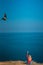 Girl with a kite on the seashore