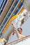 Girl on ladder goes to cruise ship