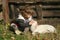 Girl with lamb on the farm