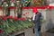 The girl lays red carnation flowers on the Victory Memorial during the celebration of Victory Day