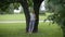 A girl leaning over a tree in a park.