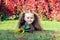 Girl lies on the grass with autumn leaves in hands