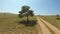 The girl lies under a lonely tree and draws a landscape in the field