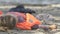 Girl in life vest lying on coast without consciousness, natural disaster victim