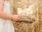 Girl in linen dress hold nest with fluffy baby chicks.