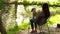 Girl with little dog sitting in park by river