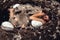 girl with long brown hair in a linen dress with feathers ,lying in the fetal position in a decorative nest of branches with