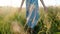 Girl in a long dress walks in a field with tall grass at sunset, hands touch the grass, camera movement