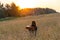 A girl with long hair with an old acoustic guitar stands in a wheat field lit by the rays of the setting sun and admires the