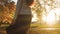 Girl with long hair is walking in park in rays of setting sun and talking on phone. Buttocks of woman in skirt at sunset