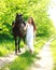 A girl in a long white dress with a horse goes on a country road