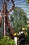 Girl looking on the ferris wheel in Pripyat amusement park