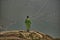 Girl looking at a picturesque view of the  fjord underneath close to Trolltunga