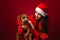The girl looks at her puppy. Santa`s gift. Photo on a red background