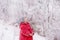 girl looks at a snowy branch