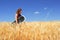 Girl lost in Wheat Field