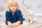 Girl lying down and watching a kitten. Kitten of the British breed is walking on the floor