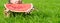 Girl lying on the lawn. and holding a large slice of watermelon on a green background. close up