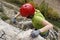 Girl making an effort doing a via ferrata