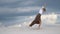 The girl is making a step over the sand against the background of the clouds