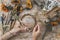 Girl making wreath in oats spikelets. Dried herbs and dried flowers for making herbarium