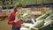 Girl in mask and gloves chooses fresh cabbage vegetables in supermarket, quarantine coronavirus covid-19