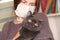 Girl medical mask on her face is holding British cat breed.toxoplasmosis protection against cat infection for humans