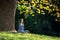 Girl meditates sitting on the grass under maple tree in autumn