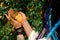 girl with multi-colored dreadlocks in a white dress holds a flower in her hands. Greenhouse with exotic tropical plants in the bot