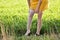 Girl in nature dressed in yellow skirt takes off white stocking from her leg. The other leg is without stockings.