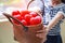 Girl in navy blue striped dress handing basket of red hearts represents helping hands, family support, morale, purity, innocence,