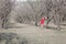 Girl in a neglected almond orchard