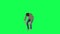 A girl with a normal body and a tall height in the green screen with light and w