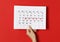 The girl notes on the calendar the days of ovulation on a red background. Ovulation concept.