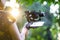 A girl operating camera mounted on a gimbal, focus on the gimbal and camera.