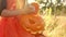 A girl in an orange dress holds an empty pumpkin with a carved evil face in her hands , closing the lid from above