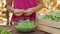 Girl outdoors shelling peas into a glass bowl