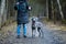 Girl owner training beautiful dog blue Weimaraner breed  outdoors,  the girl puts the dog in a rack, they look at the camera