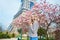 Girl in Paris near the Eiffel tower and pink magnolia in full bloom