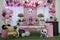 Girl Party Decorated with Panda Theme - Table of sweets