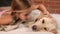 Girl petting her labrador dog - closeup