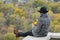 Girl with a phone sits on a hill, yellow leaves in her hand. Autumn on the background